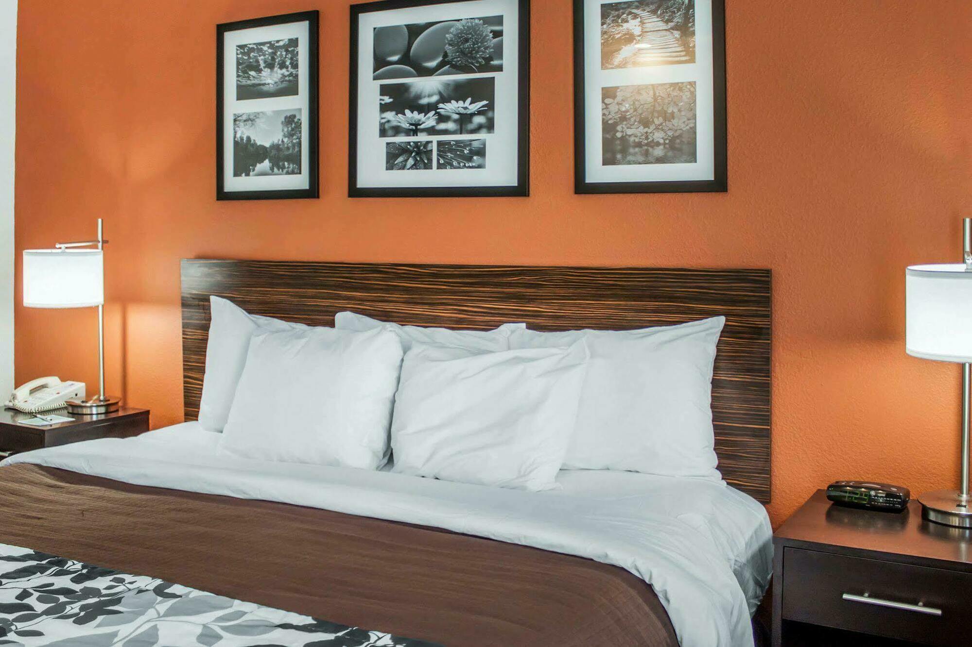 Sleep Inn North Charleston Ashley Phosphate Exteriér fotografie